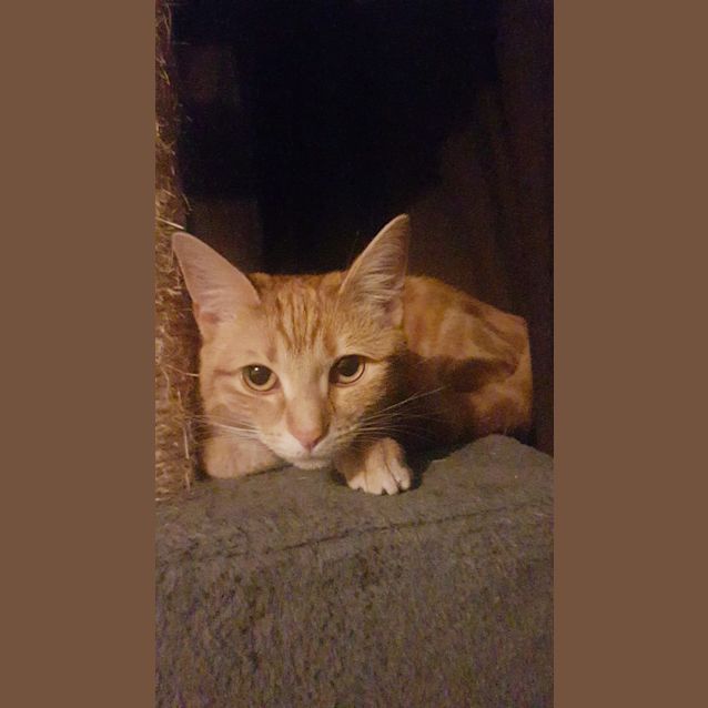 Photo of Tera