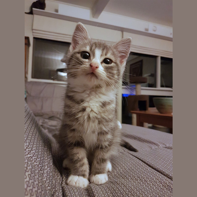 Photo of Tati