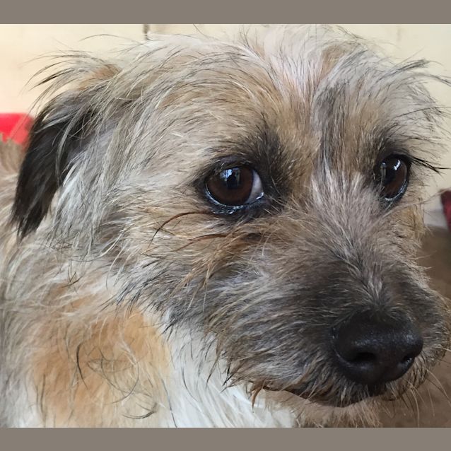 Photo of Charlie Bear