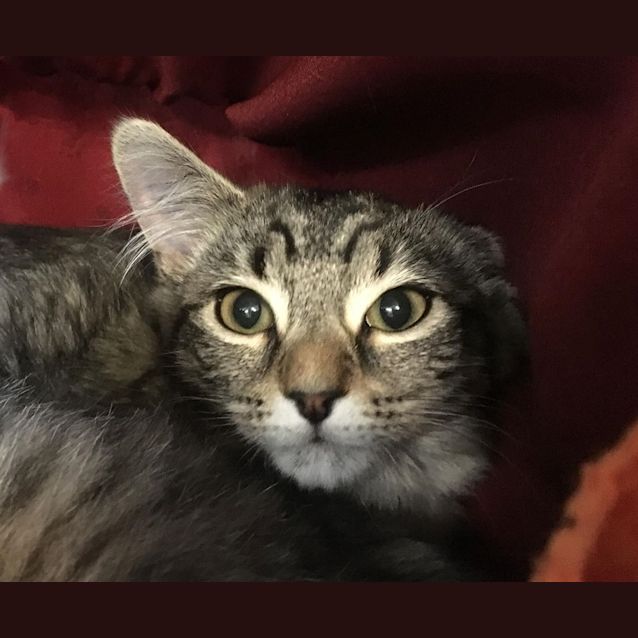 Photo of Bonita
