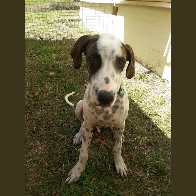 Photo of Gryff