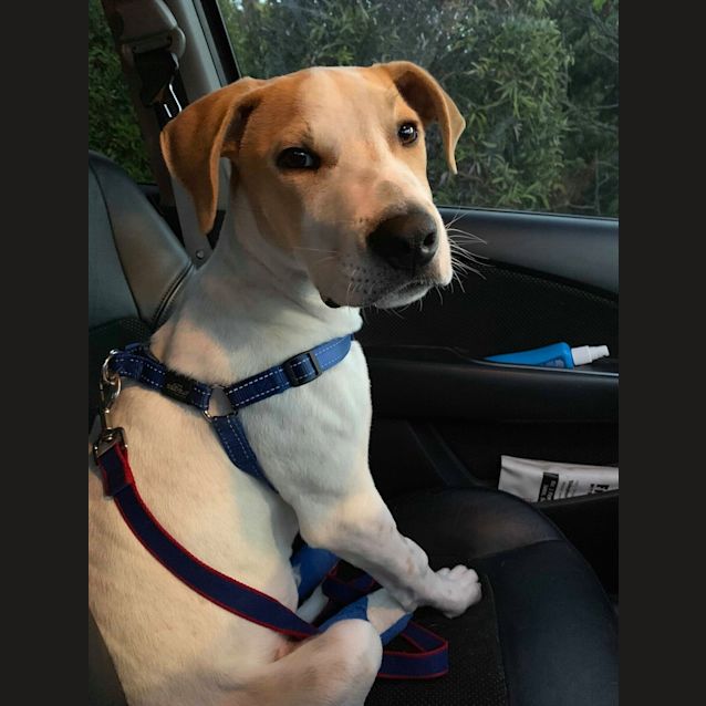 Photo of Tucker 
