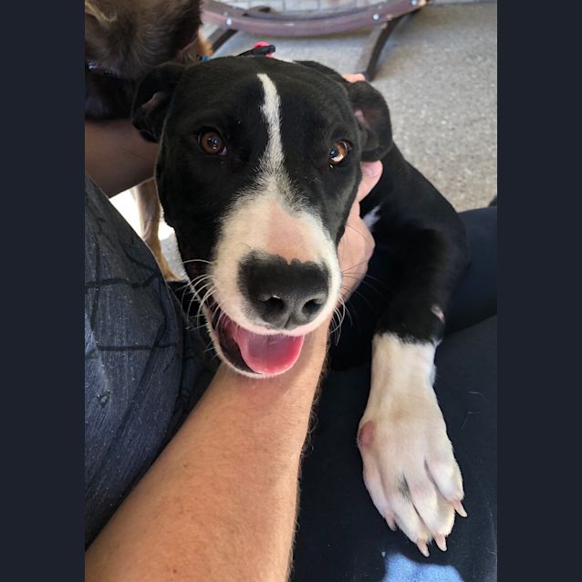Photo of Zena