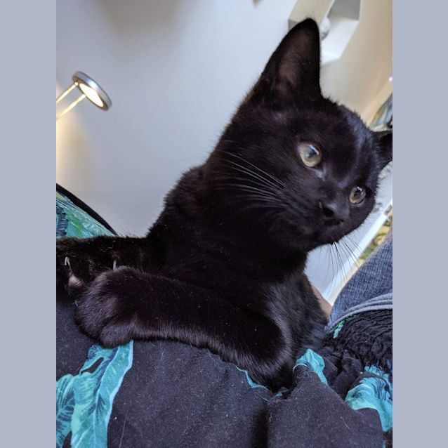 Photo of Salem