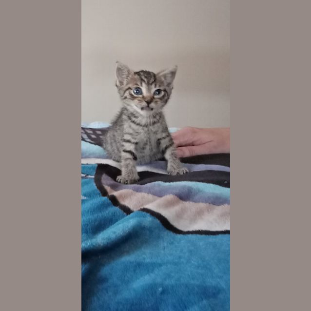 Photo of Yeyo