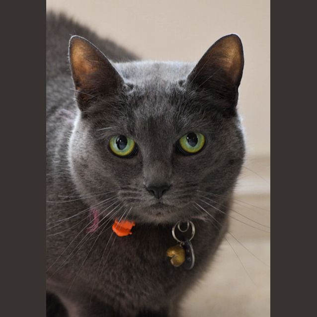 Photo of Elly