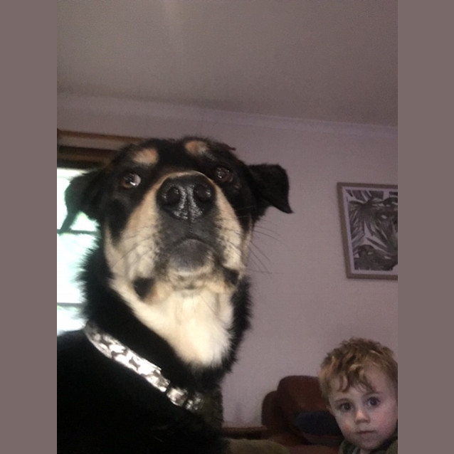 Photo of Keston