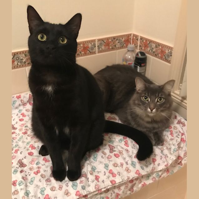 Photo of Lucifer And Wolfe