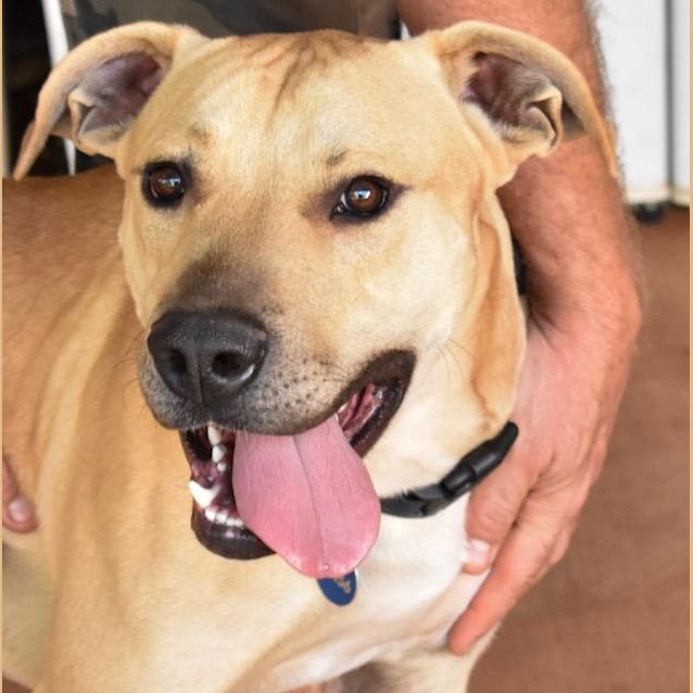 Photo of Yogi