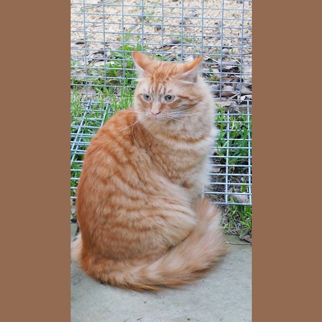 Photo of Lucky (And Money)