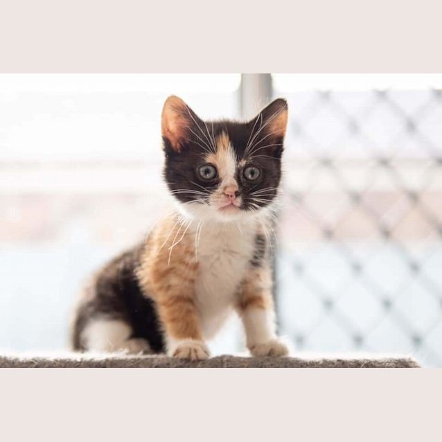 Photo of Autumn 💕