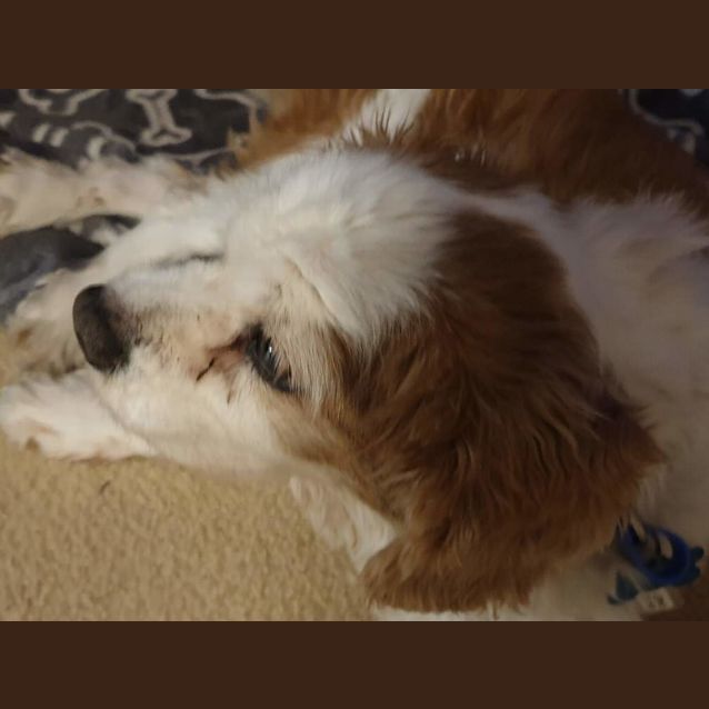 Photo of Charles 💙