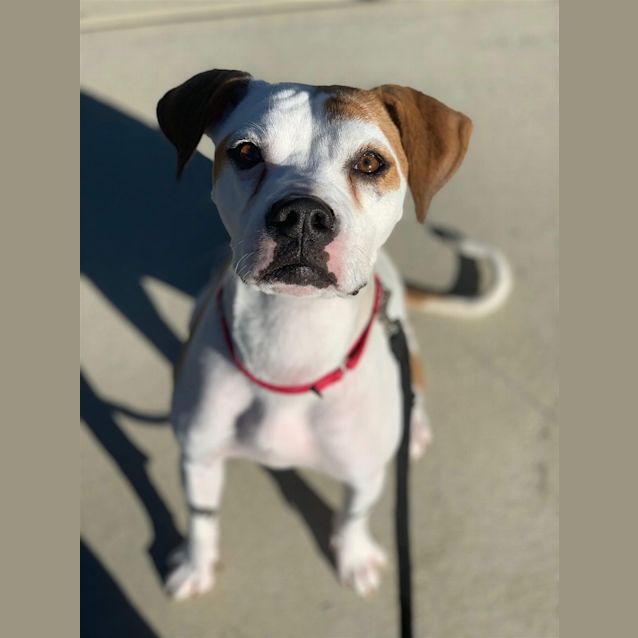 Photo of Sook