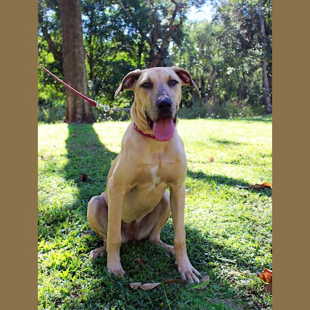 Photo of Lala