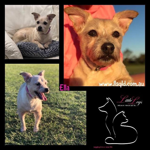 Photo of Ella Baldwin