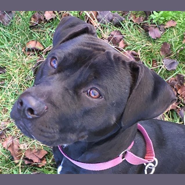 Photo of Luna