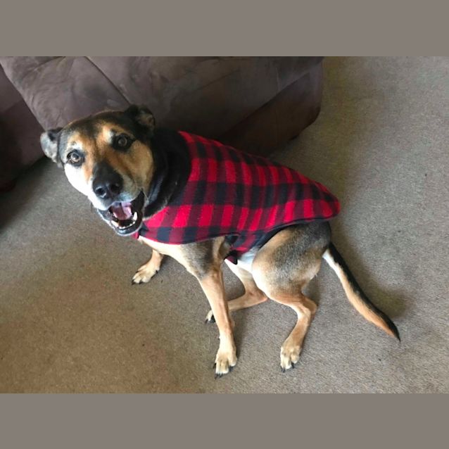 Photo of Macie Db306