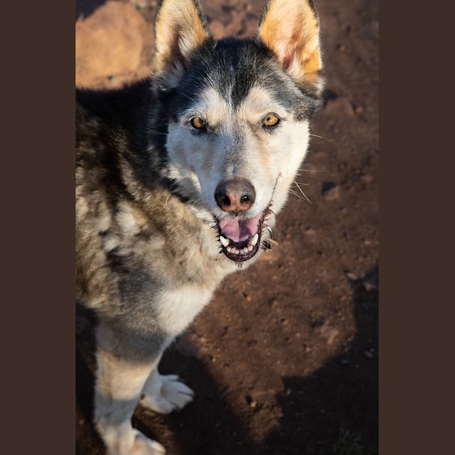 Photo of Missy
