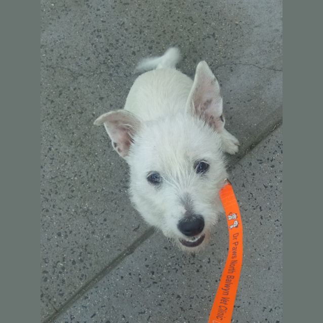 Photo of Xyla
