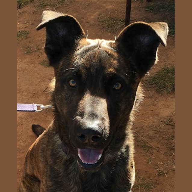 Photo of Jax