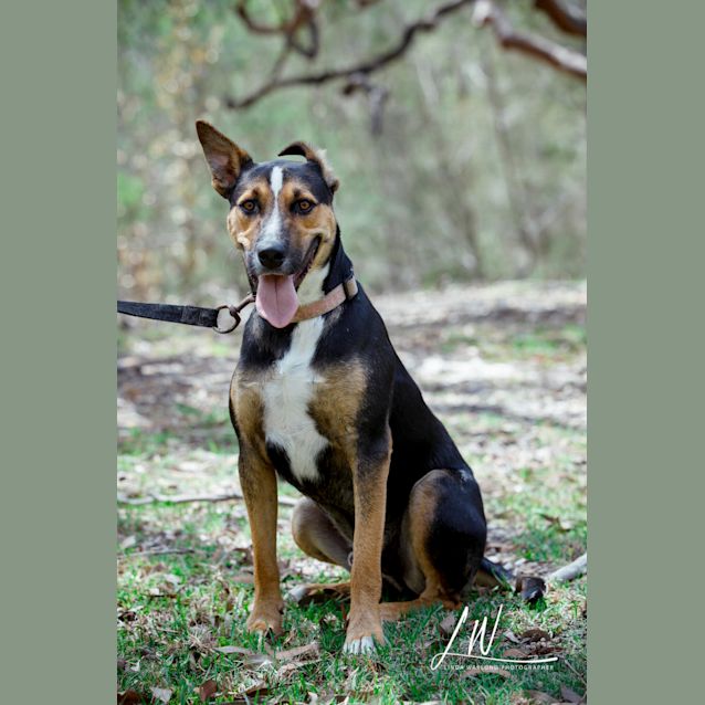 Photo of Trekker