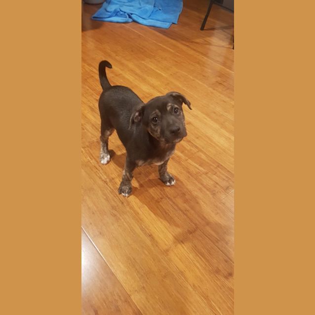 Photo of Jasmin 🥰