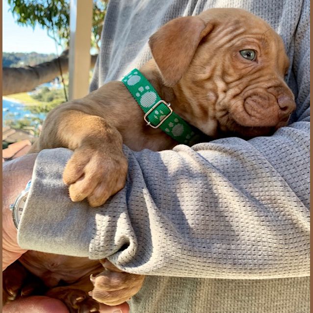 Photo of Winston