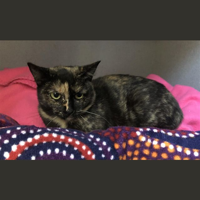 Photo of Martha