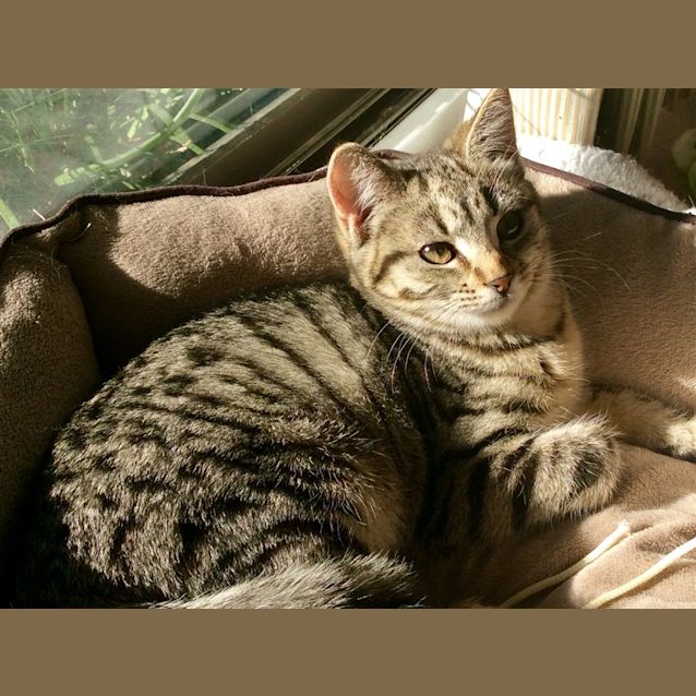 Photo of Tabitha