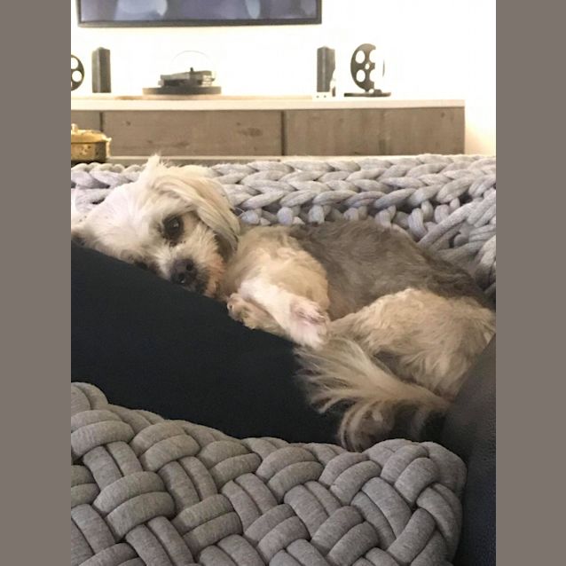 Photo of April & Rosie May