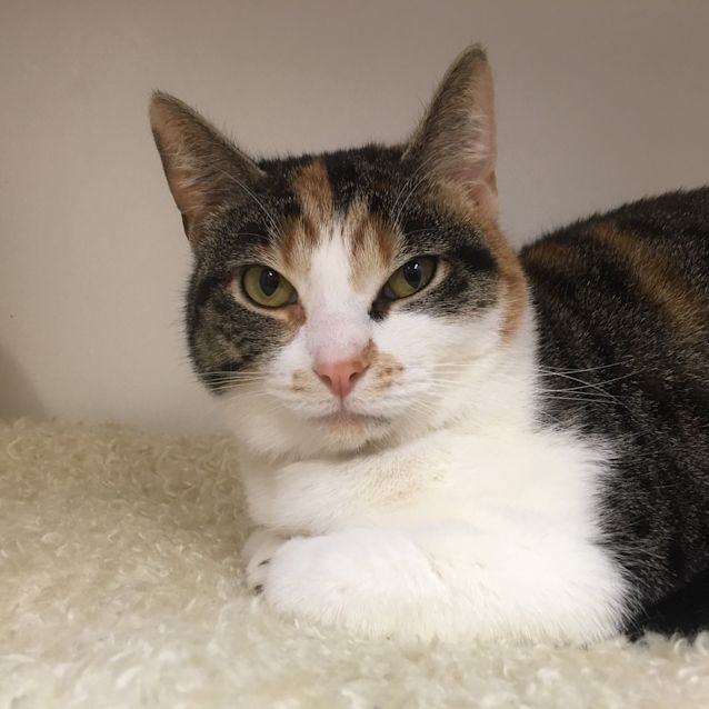 Photo of Nellie
