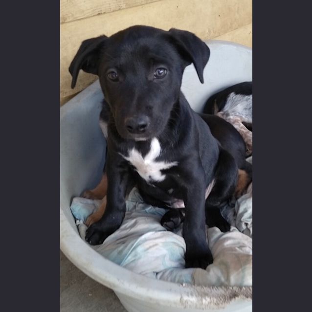 Photo of Bentley