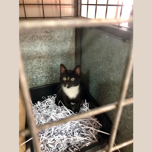 Photo of Minnie Mouse