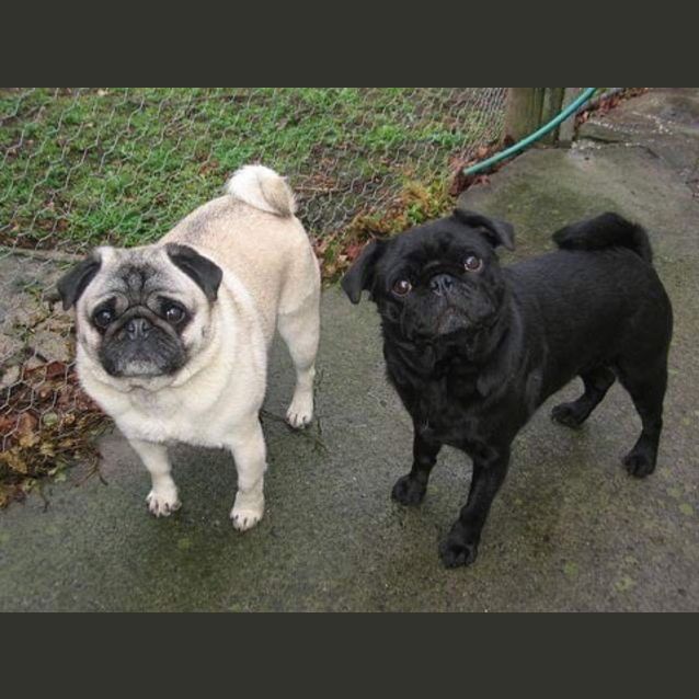 Photo of Bill And Ben 