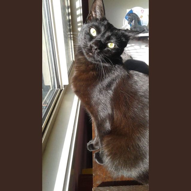 Photo of Gaius 