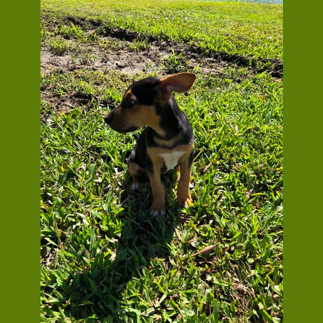 Photo of Ralph