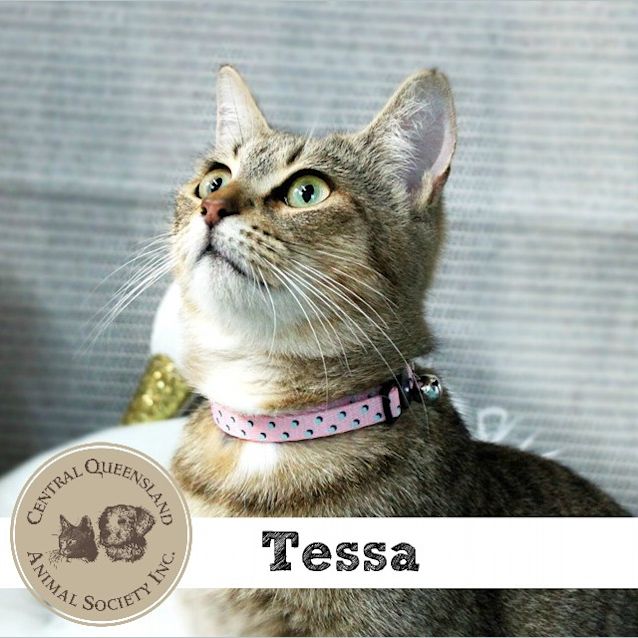 Photo of Tess