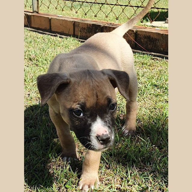 Photo of Jada