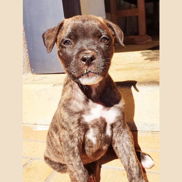 Photo of Jet