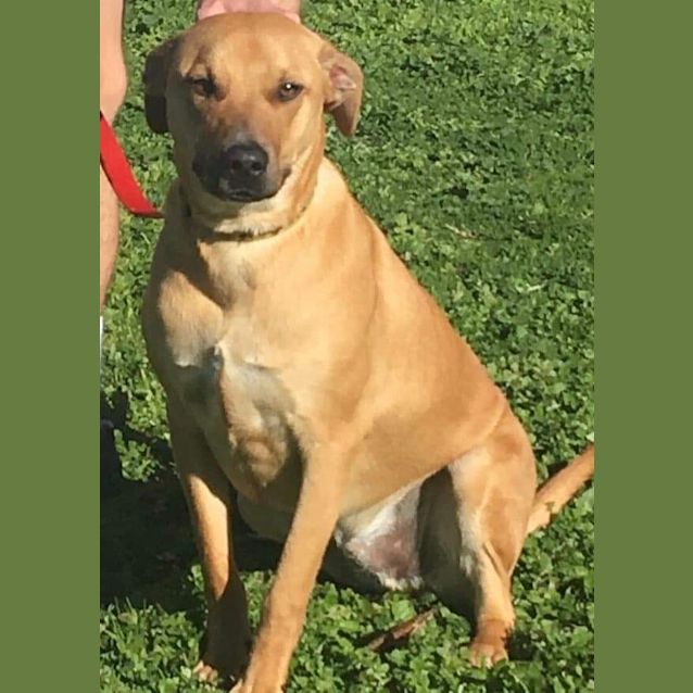 Photo of Tank