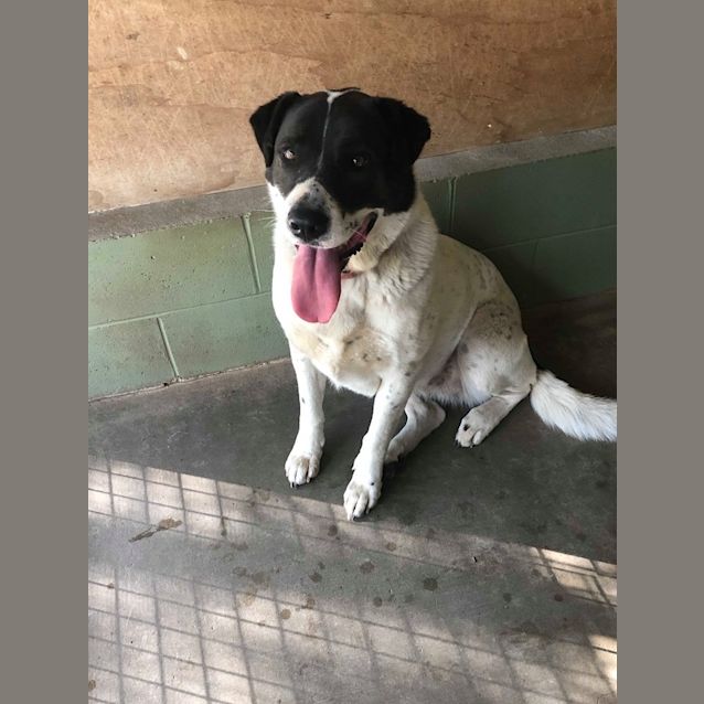 Photo of Matilda (Tilly)