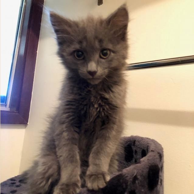 Photo of Finley