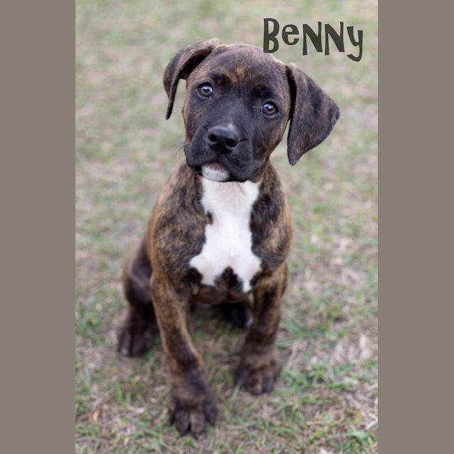 Photo of Benny