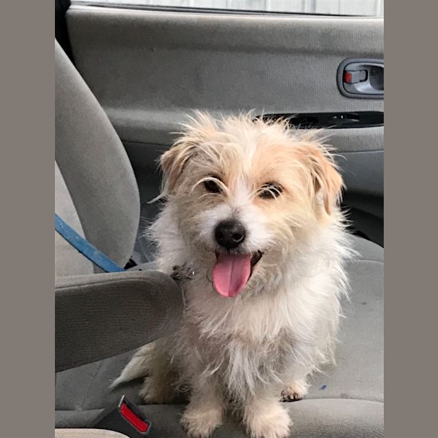 Photo of Max