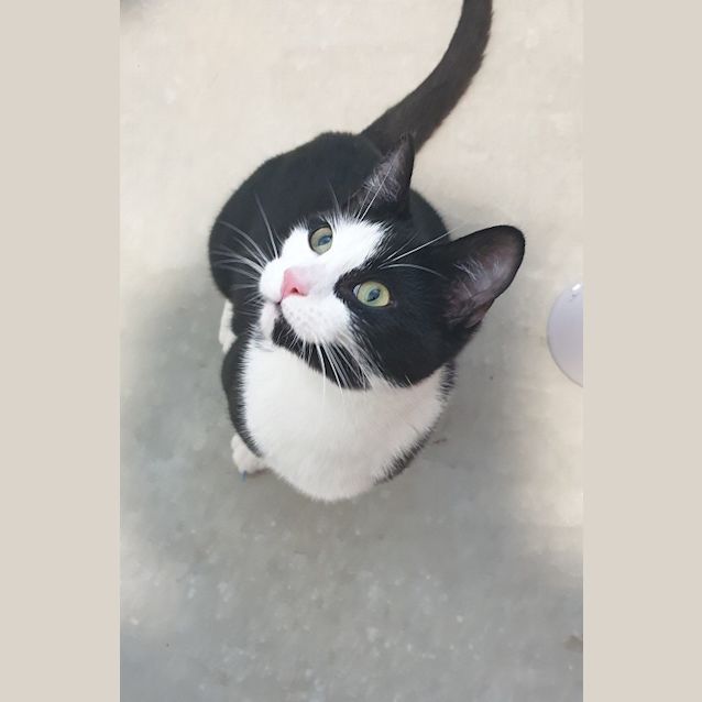 Photo of Freddie