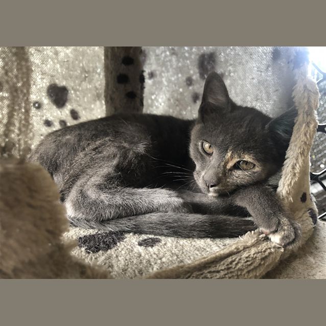 Photo of Molly