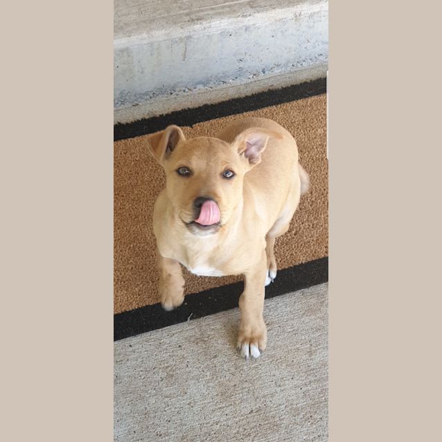 Photo of Missy