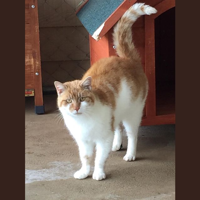 Photo of **On Trial** George