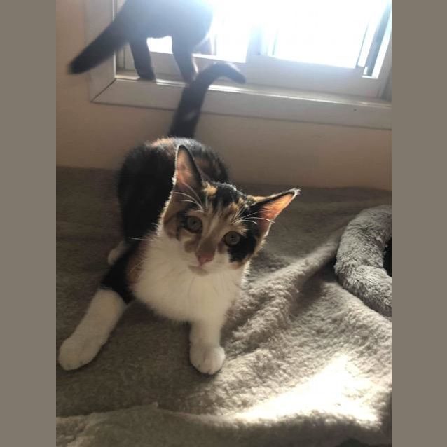 Photo of Clara