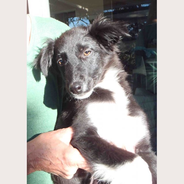 Photo of Ruby